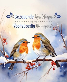 Kerstkaarten 9533